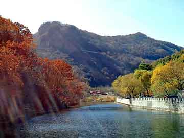 澳门二四六天天彩图库，医药代表李佳